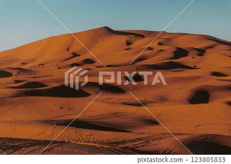Sand dunes in the Sahara Desert, Merzouga, Morocco 123805833