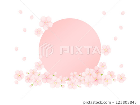 Japanese pattern background 123805843