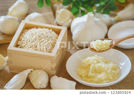 Garlic Koji and ingredients (garlic, rice koji, salt) Garlic Koji and ingredients (garlic, rice koji, salt) 123805924