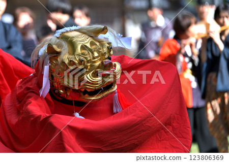 Lion Dance: Shiro Shrine Autumn Festival 123806369