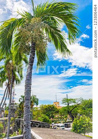 Fort San Pedro, Cebu, Philippines 123806464