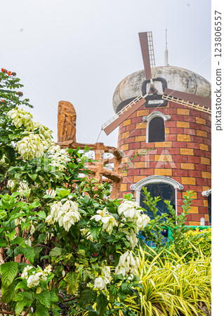 Sirao Garden, Cebu, Philippines 123806557