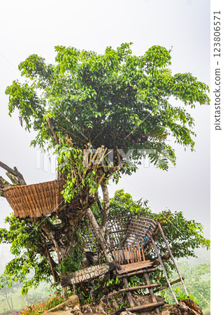 Sirao Garden, Cebu, Philippines 123806571