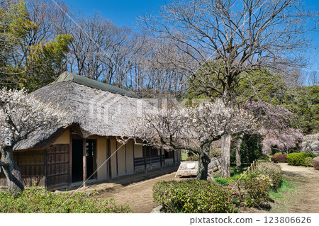 Machida City, Tokyo Yakushiike Park, Plum Garden, Former Nagai Family Residence, Tokyo-designated Place of Scenic Beauty 123806626