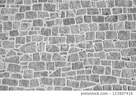 Black and white close-up of an irregular stone wall. The rough texture and natural patterns create a rustic and historical appearance. Ideal for backgrounds, textures, and architectural themes. Black and white close-up of an irregular stone wall. The rough texture and natural patterns create a rustic and historical appearance. Ideal for backgrounds, textures, and architectural themes. 123807416