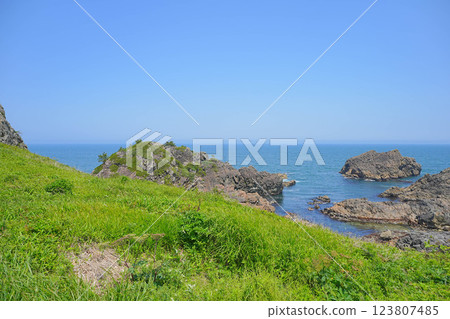 Species coast Species coast 123807485