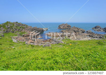 Species coast Species coast 123807487