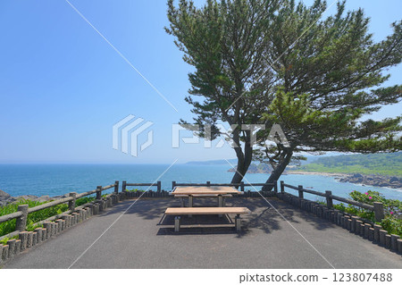 Species coast Species coast 123807488