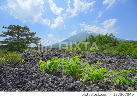 烤熔岩流 烤熔岩流 123807849