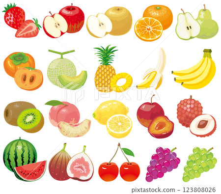 Fruit illustration set 123808026