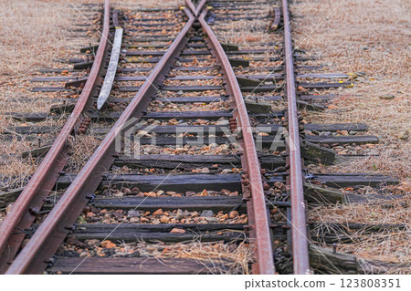 Hiromi Line 123808351