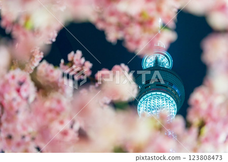 「東京」東京晴空塔與河津櫻花亮燈 123808473