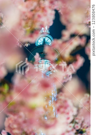 「東京」東京晴空塔與河津櫻花亮燈 123808476