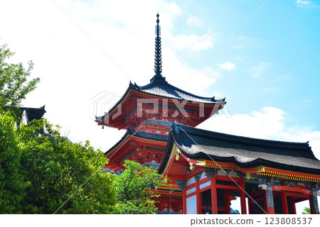 The dazzling fresh greenery of Kiyomizu-dera Temple in Kyoto The dazzling fresh greenery of Kiyomizu-dera Temple in Kyoto 123808537