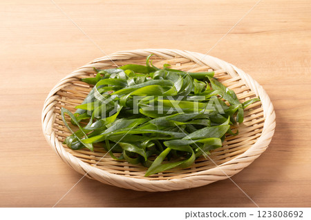 [Kyoto] Kujo green onions 123808692
