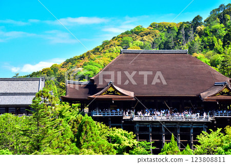 京都清水寺的翠綠令人眼花撩亂 123808811