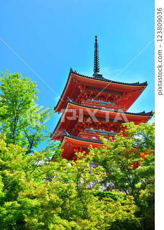 京都清水寺的翠綠令人眼花撩亂 123809036