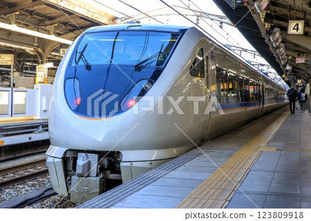 683系列白鷺特快(雷鳥改裝列車)停泊在名古屋站 683系列白鷺特快(雷鳥改裝列車)停泊在名古屋站 123809918