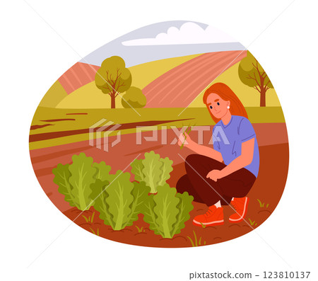 Farm worker harvesting. Female farmer harvest crop, organic food production flat vector background illustration. Farmland harvest season scene Farm worker harvesting. Female farmer harvest crop, organic food production flat vector background illustration. Farmland harvest season scene 123810137