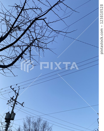 "Tree Branches and Power Lines: A Contrast of Nature and Urban Life" "Tree Branches and Power Lines: A Contrast of Nature and Urban Life" 123810528