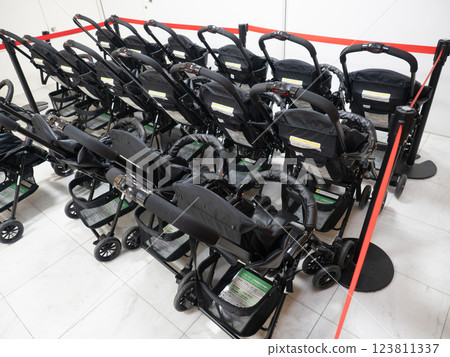 Rental strollers 123811337