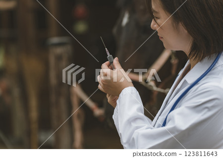 馬 馬兒 射入 123811643