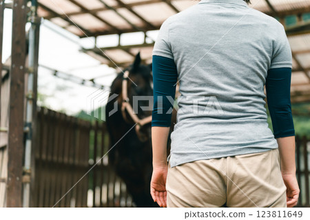horse, female, lady 123811649