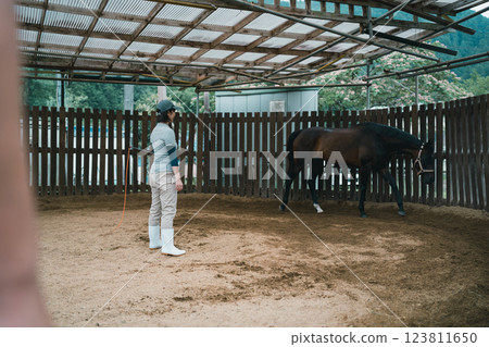 horse, female, lady 123811650