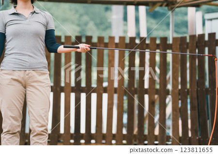 horse, female, females 123811655