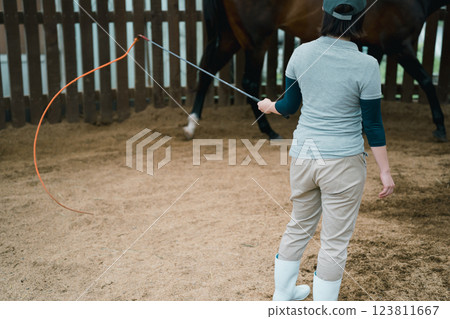 horse, female, lady 123811667