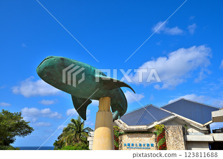 沖繩縣:海洋博公園(國營沖繩紀念公園)美麗海水族館 沖繩縣:海洋博公園(國營沖繩紀念公園)美麗海水族館 123811688