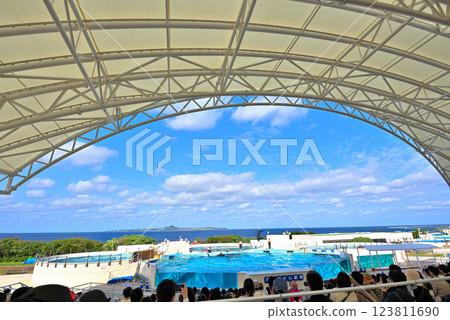 沖繩縣:海洋博公園(沖繩國立公園)海豚潟湖 沖繩縣:海洋博公園(沖繩國立公園)海豚潟湖 123811690