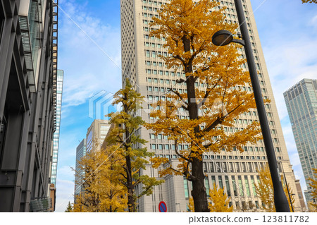 Autumn Scene with Tall Buildings and Yellow Foliage in the City Dec 5 2024 Autumn Scene with Tall Buildings and Yellow Foliage in the City Dec 5 2024 123811782