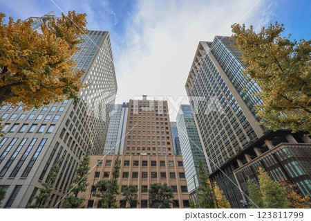 Street View With Modern Buildings and Autumn Trees in a Business, Tokyo Dec 5 2024 123811799