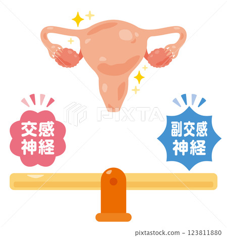 平衡的自主神經系統和健康的子宮的圖示 123811880