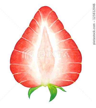 Illustration of a cross section of a strawberry 123812046