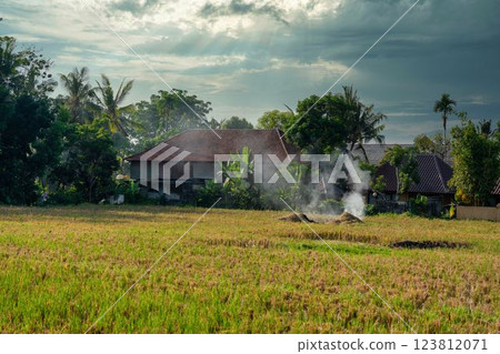 Country landscape in Bali 123812071