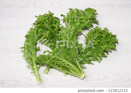 Homegrown organic wasabina isolated on white wood background. 123812125