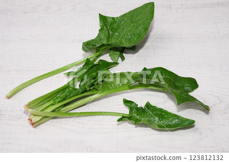 Homegrown organic spinach isolated on white wood background. 123812132