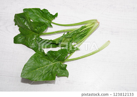 Homegrown organic spinach isolated on white wood background. Homegrown organic spinach isolated on white wood background. 123812133
