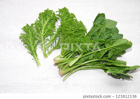 Homegrown organic vegetables isolated on white wood background. wasabina,spinach. 123812136