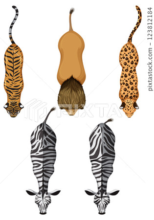 Top View of Wild Animals 123812184