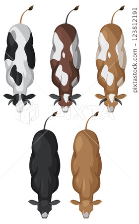 Top View of Grazing Cows Top View of Grazing Cows 123812191