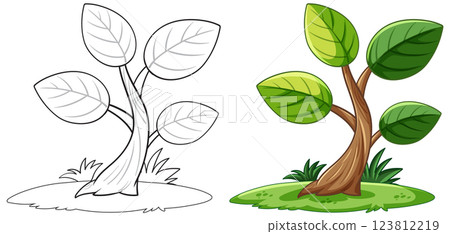 Growing Tree Vector Illustration and Outline Growing Tree Vector Illustration and Outline 123812219