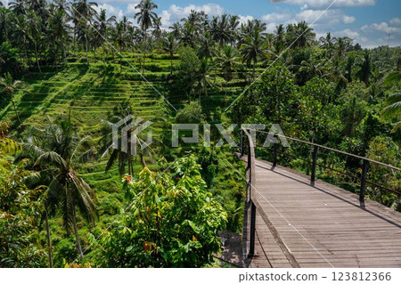 巴厘島特加拉蘭的風景 巴厘島特加拉蘭的風景 123812366