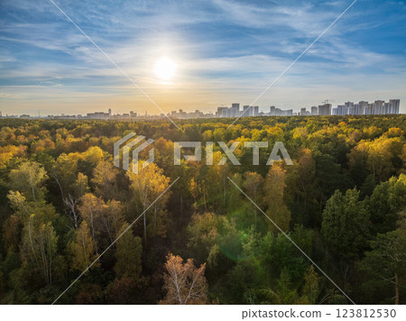 Aerial drone view of stunning colorful autumn fall forest. 123812530