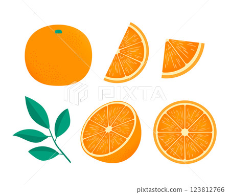 橙子和葉子的插圖集 123812766
