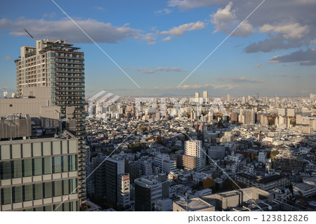 Expansive Cityscape View Over Urban Skyline, Tokyo Dec 6 2024 123812826
