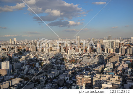 Expansive Cityscape View Over Urban Skyline, Tokyo Dec 6 2024 123812832