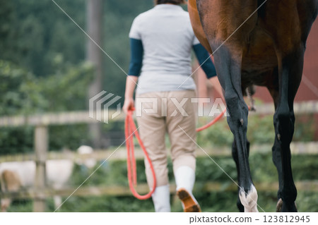 馬 馬兒 女生 123812945